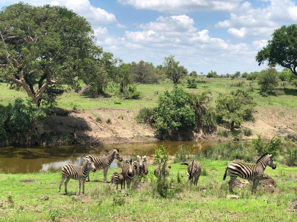 Lodge Emhosheni River