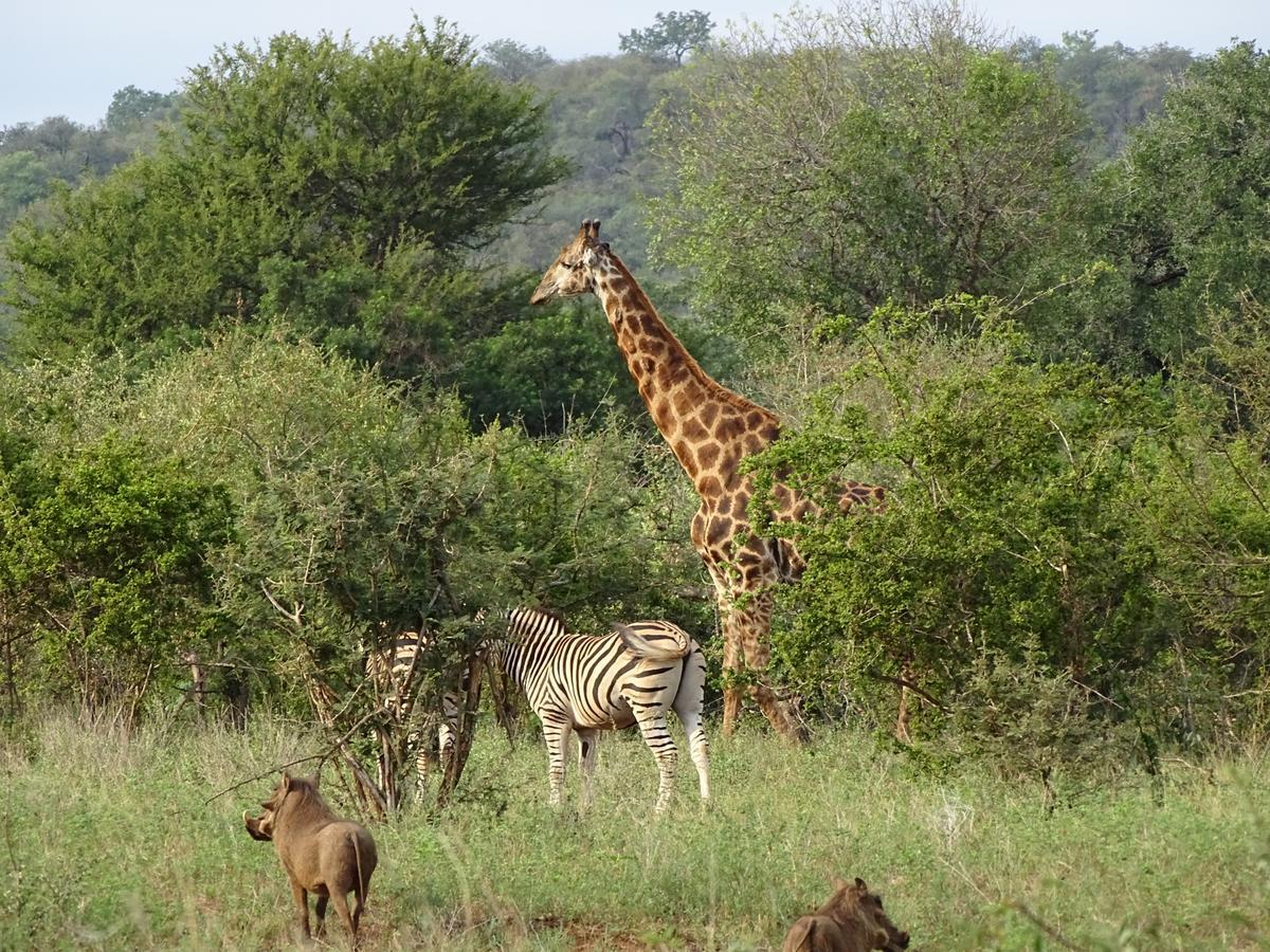 Lodge Emhosheni River
