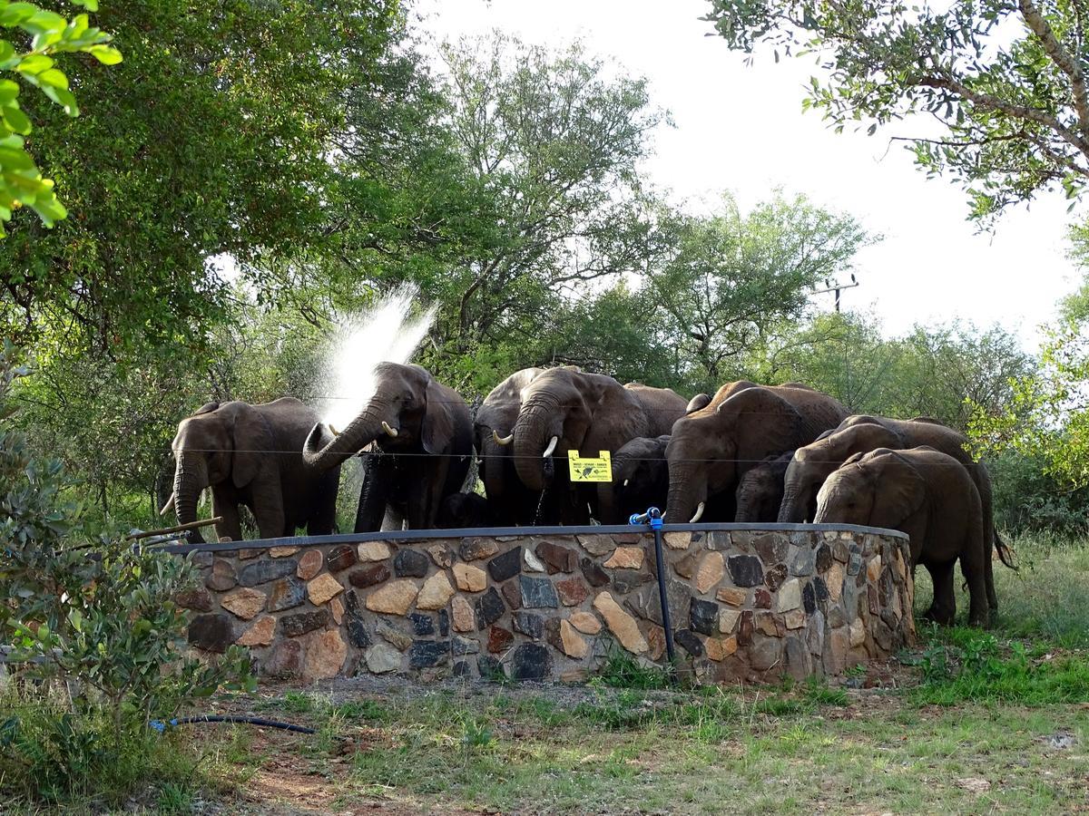 Emhosheni River Lodge Naturschutzgebiet Balule
