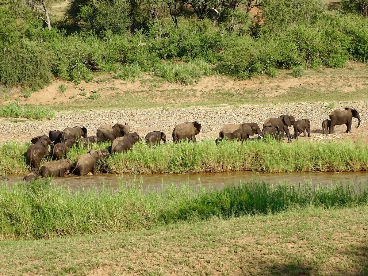 Emhosheni River Lodge *