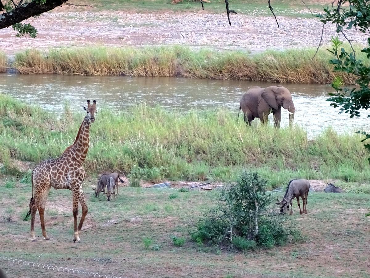 Emhosheni River