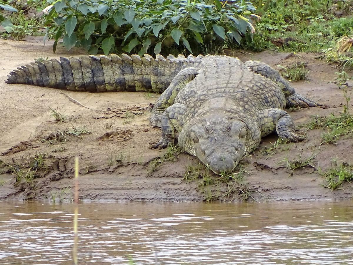 Lodge Emhosheni River Naturschutzgebiet Balule