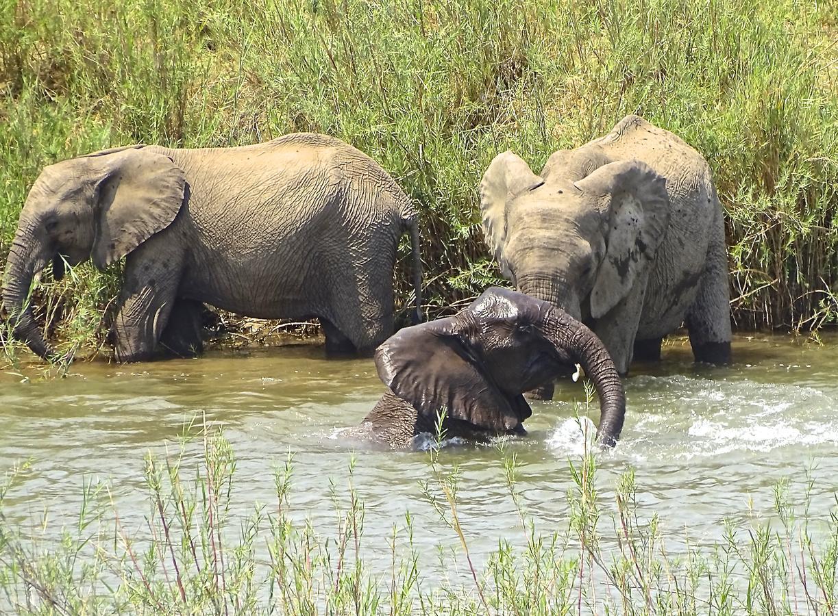 Emhosheni River Lodge *
